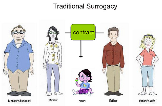 Traditional Surrogacy vs. Gestational Surrogacy _ Which is better for you-2