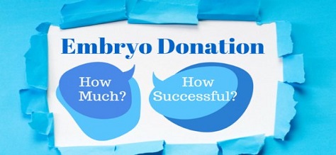 Embryo-Donation how successful
