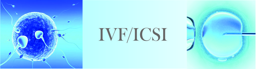 IVF-ICSI