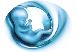 embryo donor cost in Chennai 2018