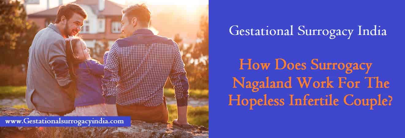 Surrogacy cost Nagaland