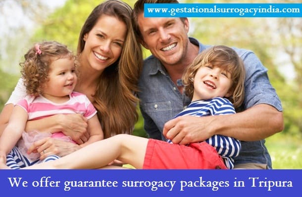 Surrogacy cost Tripura