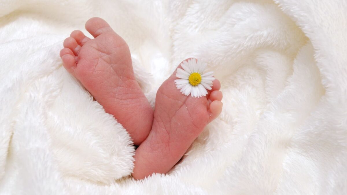 IVF Cost in Vijayawada