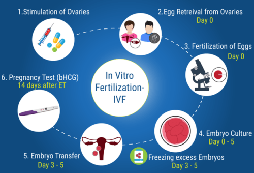 IVF Cost in Germany